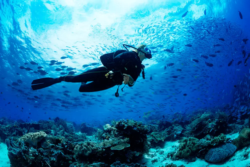 Scubadiving in Andaman